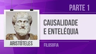 ARISTÓTELES 1 – CAUSALIDADE E ENTELÉQUIA  FILOSOFIA [upl. by Enej]