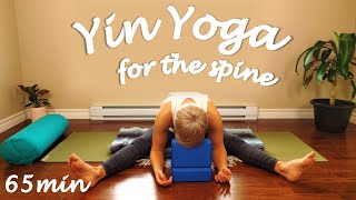 1 Hour Yin Yoga Class for a Healthy Spine [upl. by Gnoh456]