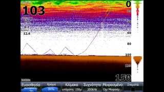 Squids through the eyes of Lowrance HDS [upl. by Ebenezer]