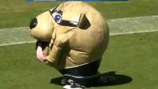 Tennessee Titans Mascot Eats Cheerleader [upl. by Maddie]