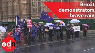 Pro and antiBrexit demonstrators brave rain in Westminster [upl. by Stinson7]