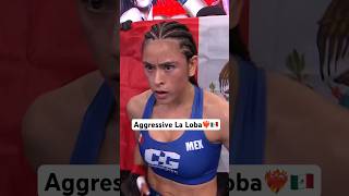 Lucero Acosta vs Silvia Juaneda  La Loba MMA Fight Highight [upl. by Ayalahs]