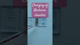 Charging of Neubauer chamber medicalpractice physiology hematology RBC WBC [upl. by Ahsenik]