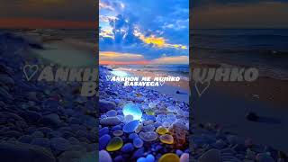 Tutanishka bahl song music newsong lyrics lyricalviralvideo Lekhazeditzz [upl. by Teodoor]