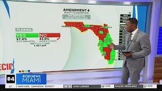 Florida rejects Amendments 3 and 4 in 2024 election [upl. by Flieger]