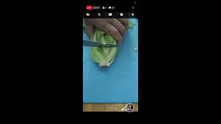 Cooking Simple Sardines Recipe with Lettuce [upl. by Cook]