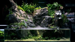 PALUDARIUM Rainforest Experience  REAL WATERFALL and Monumental Hardscape [upl. by Cunningham]