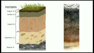 What is Soil formation all about [upl. by Hpotsirhc]