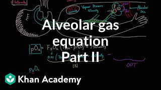 Alveolar gas equation  part 2  Respiratory system physiology  NCLEXRN  Khan Academy [upl. by Ainel]