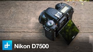 Nikon D7500  Hands On Review [upl. by Eilime731]