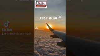 Air Cargo fyp youtubeshorts tiktok subscribe [upl. by Jary]