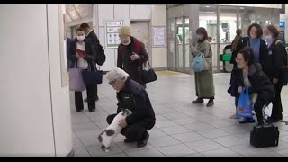 忠犬いや、猫 大好きな主人，駅でおむかえ＊ [upl. by Frick]