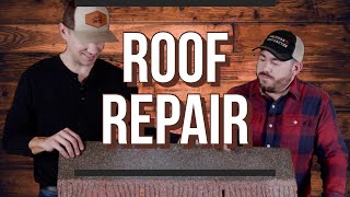 Can you Patch your current Roof Shingles [upl. by Enyawal]