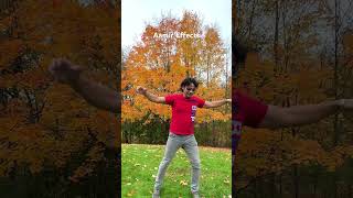 Aati Kya Khandala  Aamir Khan Effects  Canada canada aamirkhan dance trees [upl. by Notlehs]