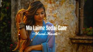 Ma Laime Sedai Gate  SlowedReverb  New Santhali Lofi Video Song  varattudu [upl. by Adnamor]