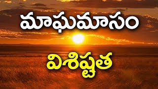 The Significance of Maghamaasam  మాఘమాసం ప్రాముఖ్యత  మాస మహాత్మ్యం  అన్నదానం చిదంబరశాస్త్రి [upl. by Vasili]