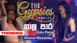 Galu Pare ගාලු පාරේ Shenal Nishshanka  The Gypsies Concert  Sunil Last Song  TRANS AV EVENTS [upl. by Jorie]