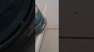 Architrave joints construction wood carpentry carpentrytips diy diywoodworking [upl. by Jamel]