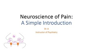 Neuroscience of Pain A Simple Introduction [upl. by Marcello]