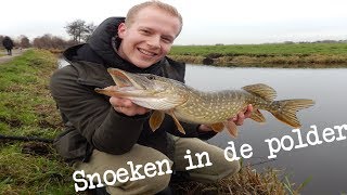 Snoekvissen  Terug naar de POLDER SUPER DAG [upl. by Ahsaetal]