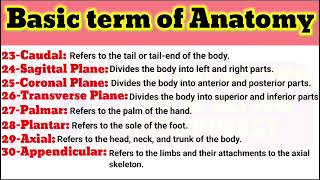 Basic term of anatomy  Anatomy terminology  Theory and practical class of mlt and histopathology [upl. by Airotal]