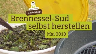 BrennesselSud  BrennesselJauche als Pflanzendünger selbst herstellen [upl. by Yalc]