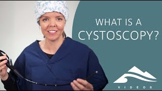 What is a cystoscopy evaluation of your bladder [upl. by Ladonna52]