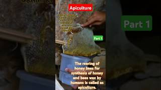 Apiculture मधुमक्खि पालन ytreels animallover english learnenglish [upl. by Weywadt]