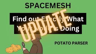 Spacemesh  Potato Parse Update Big Changes [upl. by Cornie]