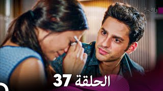 رائحة الفراولة الحلقة 37 Arabic Dubbed  FULL HD [upl. by Leuqcar]