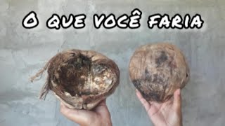 Faça em 3 Minutos Usando Coco Seco [upl. by Marcella180]