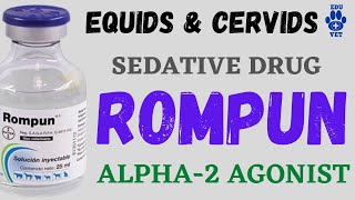 Xylazine  Rompun  Equine Sedative  Equine Pharmacology [upl. by Kunin304]