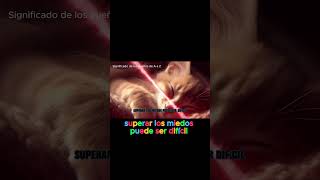 🐱⚔️Soñar con un gato atacando 🐱⚔️ significadodelossueños sueños [upl. by Luben]