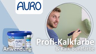 AURO Anwendung Kalkfarben und KalkBuntfarben [upl. by Aisayn592]