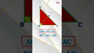 Right Angle Triangle Properties shorts trending viralvideo ytshorts ytshortsindia [upl. by Ylus128]