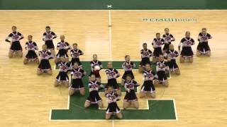 Churchill Varsity Pom  States 2013 [upl. by Anayd]