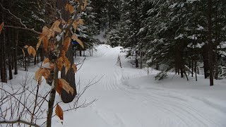 Nouveaux sentiers pour la randonnée au Parc Éco Laurentides [upl. by Idolem368]