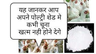 How to use lime in poultry shed पोल्ट्री शेड मे चूने का महत्व by sunny poultry farming [upl. by Annayr]