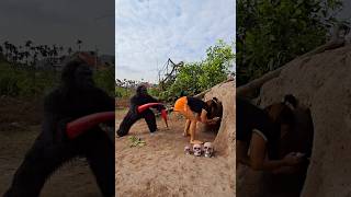 Gorillas Monster Attacks Young Girl [upl. by Jourdan]