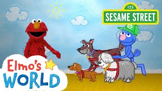 Sesame Street Dog Walker  Elmos World [upl. by Aveline]