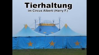 Tierhaltung im Circus Alberti Harry F [upl. by Madian]