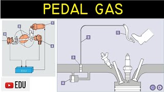 Pedal Gas Komponen Fungsi dan Cara Kerja [upl. by Delorenzo]