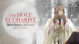 The Holy Eucharist  Third Sunday of Easter  April 23  Archdiocese of Bombay [upl. by Garfield]