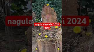 Nagula chavithi 2024 date nagulachavithi2024date shorts ytshortstrending [upl. by Tomasz468]