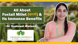 All about Foxtail Millet amp its immense benefit  Arogyam Nutrition by Dr Richa Garg [upl. by Ahsiak]