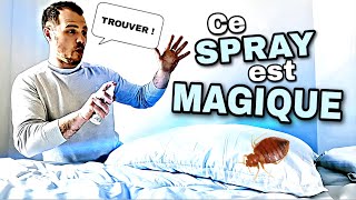 Comment trouver les PUNAISES DE LIT  en 3 sec [upl. by Manard735]