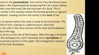 Introduction to Archegoniates [upl. by Dragone7]