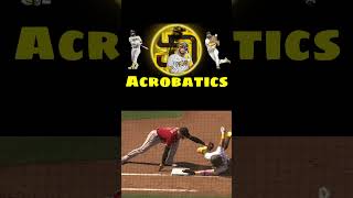 Acrobatics plays tatis jr [upl. by Norved]