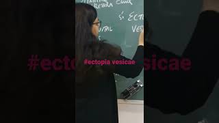 Ectopia vesicae [upl. by Uile]