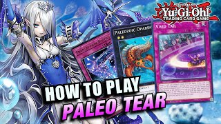 YUGIOH HOW TO PLAY PALEOZOIC TEARLAMENTS COMBOS AND HAND TESTS [upl. by Cosme]